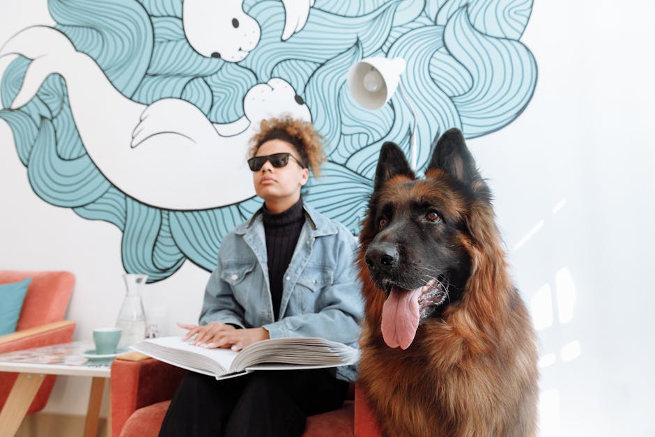 German shepherd service dog for ADHD providing calming support to handler