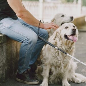 Guide dog sitting beside owner at service animal registration desk