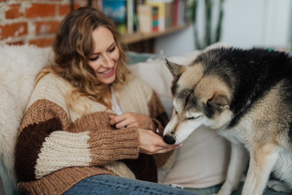 Woman with emotional support animal relaxing on cozy couch at home under ESA Utah housing laws