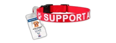 Service Dog Benefits