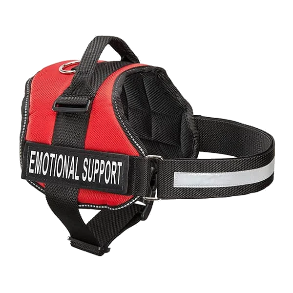 Service Dog Benefits
