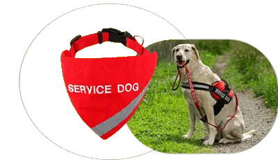 Service Dog Benefits