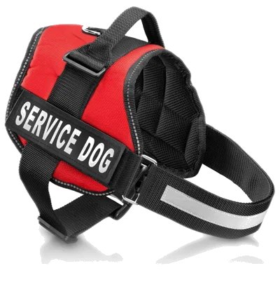 Service Dog Benefits