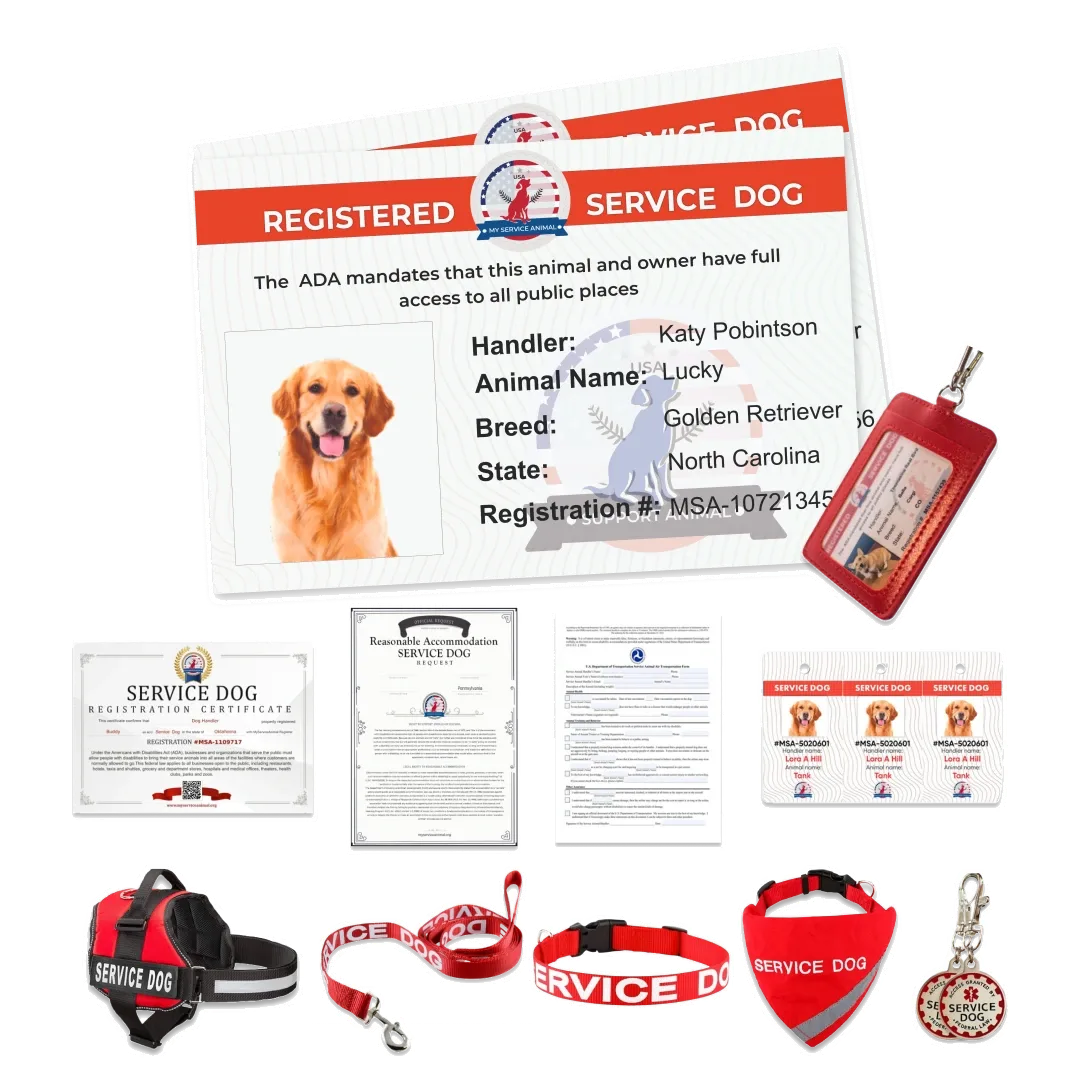 Service Dog Benefits
