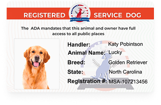 Service animal registration card