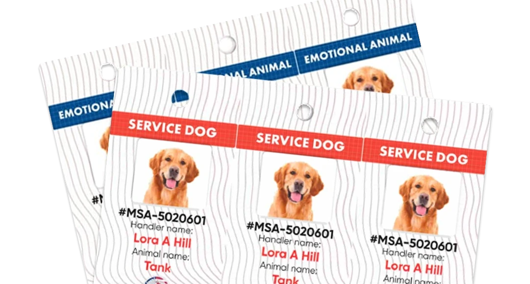 Collar Mini ID Tags