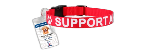 Service Dog Benefits