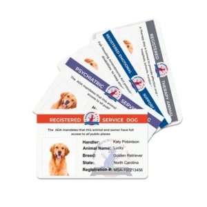 Additional ID Card