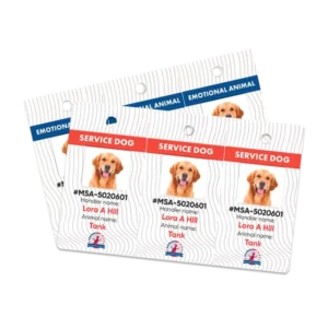 Collar Mini ID Tags