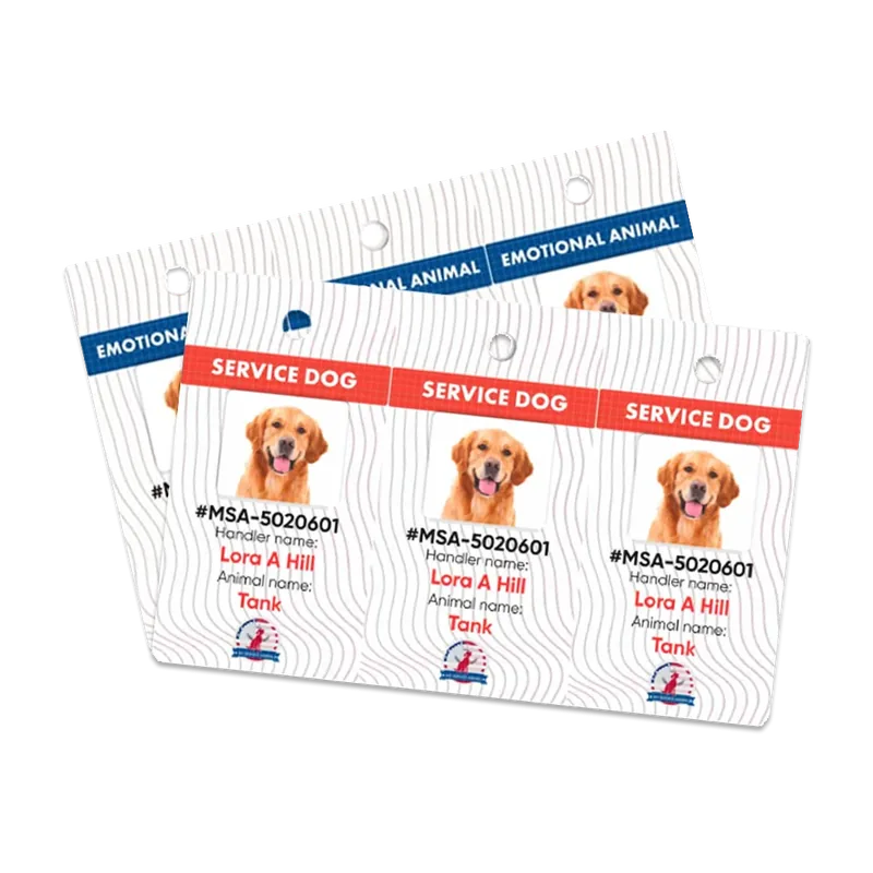 Collar Mini ID Tags