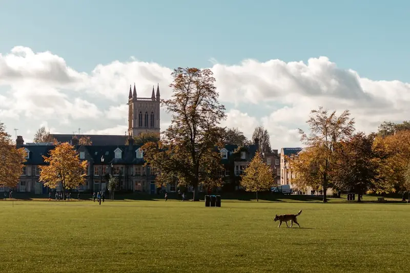 Scenic autumn view of a college campus in Cambridge with trees, lawn, and architecture.