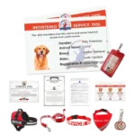 Service Dog Bundle | MyServiceAnimal.org