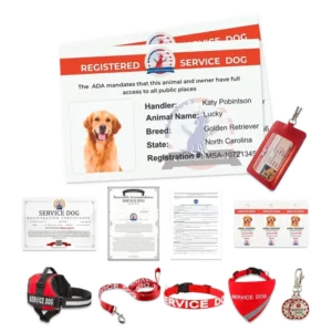Service Dog Bundle
