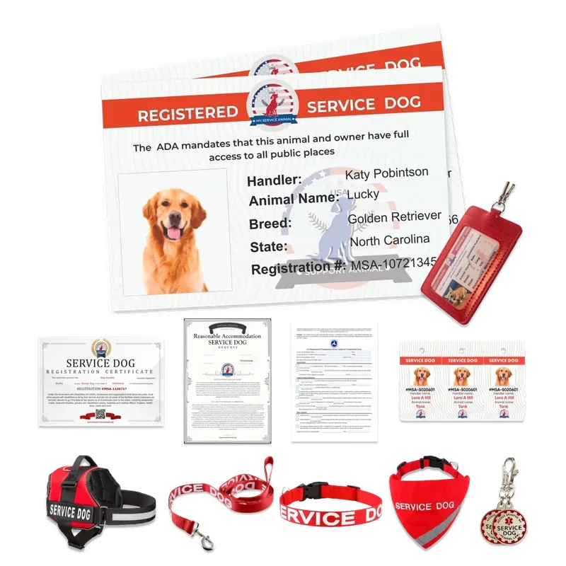 Service Dog Bundle