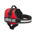 Service Dog Vest | MyServiceAnimal.org